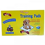 ���� ������ ����� 100 ������