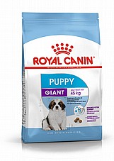 Royal Canin ����� ���� 15 �"� ���� ��� ������ ����� ���� ��� (���� �'����)
