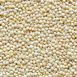 ���� 25 �"� ������� 