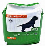 ���� ���� ������ ����� 100 ������