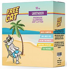 Free cat ��� �� 10 �"� ��� ����� ������� ������ ������