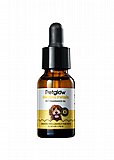 PetGlow �� ����� 15 �"� ��� ���� ���� - ����� �����
