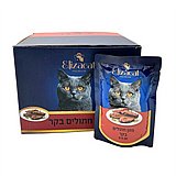 Elizacat ������ 80 ��� ���� ���� (����) ������� ���� ���