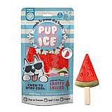 Pup ice פופ אייס 90 גרם ארטיק לכלב בטעם אבטיח Pup ice פופ אייס 90 גרם ארטיק לכלב בטעם אבטיח