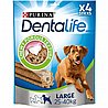 DentaLife ������� ���� ����� ���� ���� ����