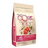 Wellness CORE ����� ��� 4 �"� ���� ��� ������� ������ ������� ���� ����
