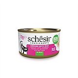schesir ������ 70 ��� ���� ���� (����) ������� ���� ��� �� ���� ��'��