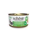 schesir ������ 70 ��� ���� ���� (����) ������� ���� ��� �� ���� ��'��