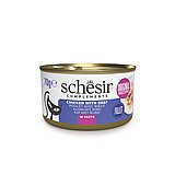 schesir ������ 70 ��� ���� ���� (����) ������� ���� ��� ���� ����