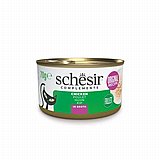 schesir ������ 70 ��� ���� ���� (����) ������� ���� ��� ����