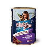 Miglior Gatto �������� ���� 405 ��' ���� ���� (�������) ������� ������ ���� ����