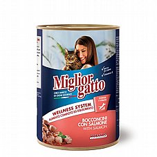 Miglior gatto �������� ���� 405 ��' ���� ���� (�������) ������� ������ ���� �����