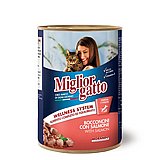 miglior gatto ������� ���� 405 ��` ���� ���� (�������) ������� ������ ���� �����