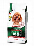 MORANDO ������ 1.5 �"� ���� ��� ������ ������ ���� ��� ���, ����� ���� (���������)