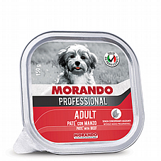 Morando ������ 150 ��� ���� ���� (����) ������ ���� ��� ���