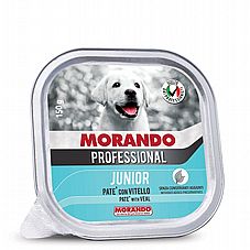 Morando ������ 150 ��� ���� ���� (����) ������ ����� ���� ��� ���