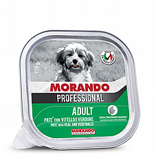 Morando ������ 150 ��� ���� ���� (����) ������ ���� ��� ������