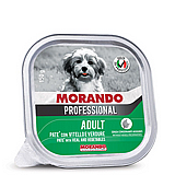 Morando ������ 150 ��� ���� ���� (����) ������ ���� ��� ������