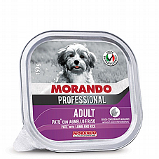 Morando ������ 150 ��� ���� ���� (����) ������ ���� ��� ��� �����