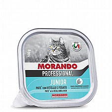morando ������ 100 ��' ���� ���� (����) ������� ����� ���� ��� ����