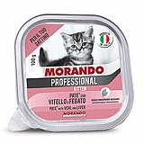 morondo ������ 100 ��` ���� ���� (����) ������� ����� ���� ��� ����