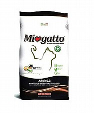 Miogatto� ������ 10 �"� ���� ��� ������� ������ (��� ������)
