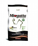 Miogatto� ������ 10 �"� ���� ��� ������� ������ (��� ������)