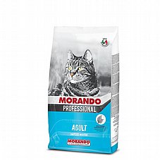 MORANDO ������ 7 �"� ���� ��� ������� ������ ���� ����