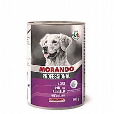 Morando ������ 400 ��� ���� ���� (�����) ���� ���� ���