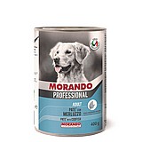Morando ������ 400 ��� ���� ���� (�����) ���� ���� ����