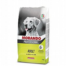 MORANDO ������ 4 �"� ���� ��� ������ ������ ���� ���