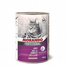 Morando ������ 400 ��� ���� ���� (�����) ����� ���� ���