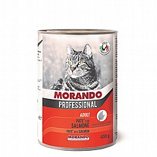 Morando ������ 400 ��� ���� ���� (�����) ����� ���� �����