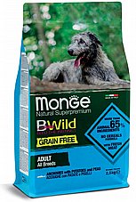MONGE ���� 2.5 �"� ���� ��� ��� ����� ������ ���� ������ ���"� ������ (����� ���)