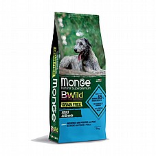 MONGE ���� 12 �"� ���� ��� ��� ����� ������ ���� ������ ���"� ������ (����� ���)