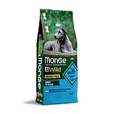 MONGE ���� 12 �"� ���� ��� ��� ����� ������ ���� ������ ���"� ������ (����� ���) MONGE ���� 12 �"� ���� ��� ��� ����� ������ ���� ������ ���"� ������ (����� ���)