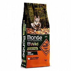 MONGE ���� 12 �"� ���� ��� ��� ����� ������ ���� ����� ����"� (����� ���)