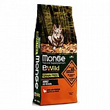 MONGE ���� 12 �"� ���� ��� ��� ����� ������ ���� ����� ����"� (����� ���)