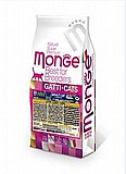 MONGE ���� 10 �"� ���� ��� ������� ���� ����� (�������)