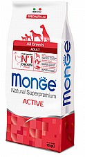 MONGE ���� 12 �"� ���� ��� ������ ������ ������� (����� �����)