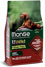 MONGE ���� 12 �"� ���� ��� ������ ������ ���� ��� ��"� ������ (�������)