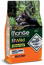 MONGE ���� 12 �� ���� ��� ������ ����� ���� ����� ���"� (�������)