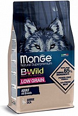 MONGE ���� 12 �"� ���� ��� ������ ������ ���� ���� (�������)