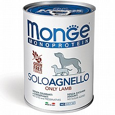 MONGE ���� 400 ��� ���� ���� (�����) ���� ���� ���