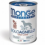 MONGE ���� 400 ��� ���� ���� (�����) ���� ���� ���