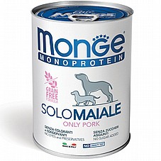 MONGE ���� 400 ��� ���� ���� (�����) ���� ���� ����