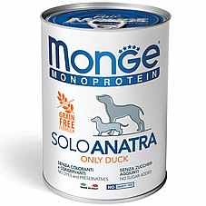 MONGE ���� 400 ��� ���� ���� (�����) ���� ���� �����