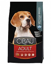 Cibau ����� 12 �"� ���� ��� ������ ������ ��� �����