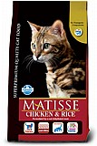 Matisse ����� 20 �"� ���� ��� ������� ���� ��� �����