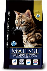Matisse ����� 20 �"� ���� ��� ������� ���� ����� �����